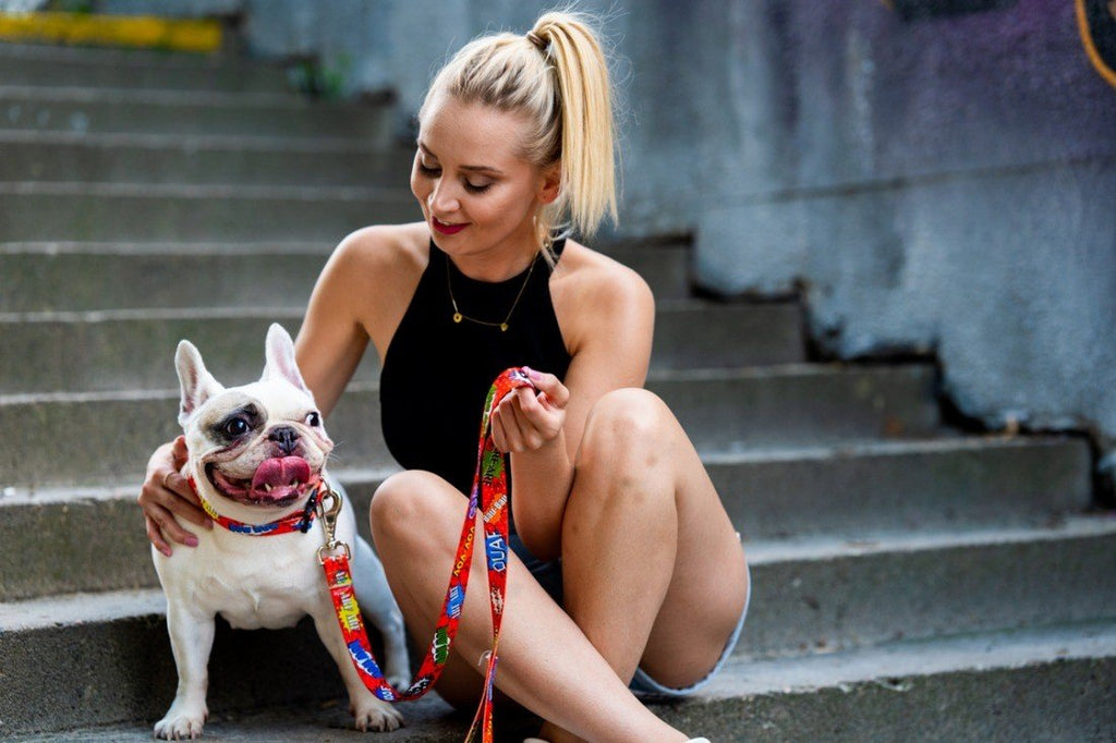1. Woman sitting on steps with French bulldog wearing Matteo red graffiti collar and leash