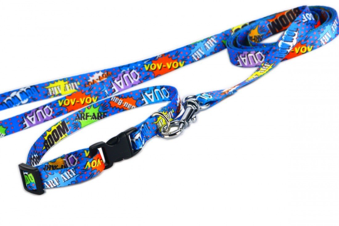 4. Flat lay of blue graffiti dog collar and leash set with plastic buckle, featuring colorful comic-style text and nickel-plated fittings