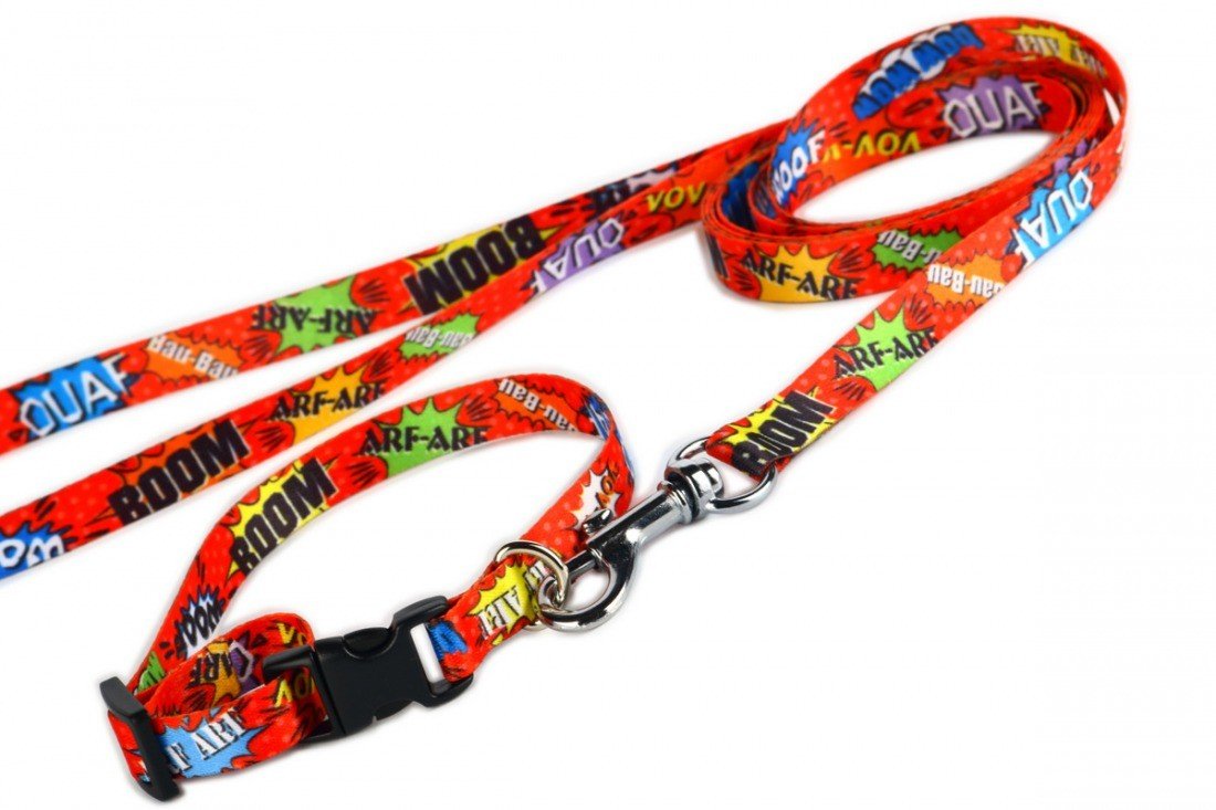 4. Flat lay of red graffiti dog collar and leash set with plastic buckle and metal clip