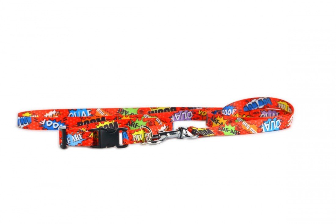 4. Flat lay of red graffiti dog collar with plastic buckle and leash on white background