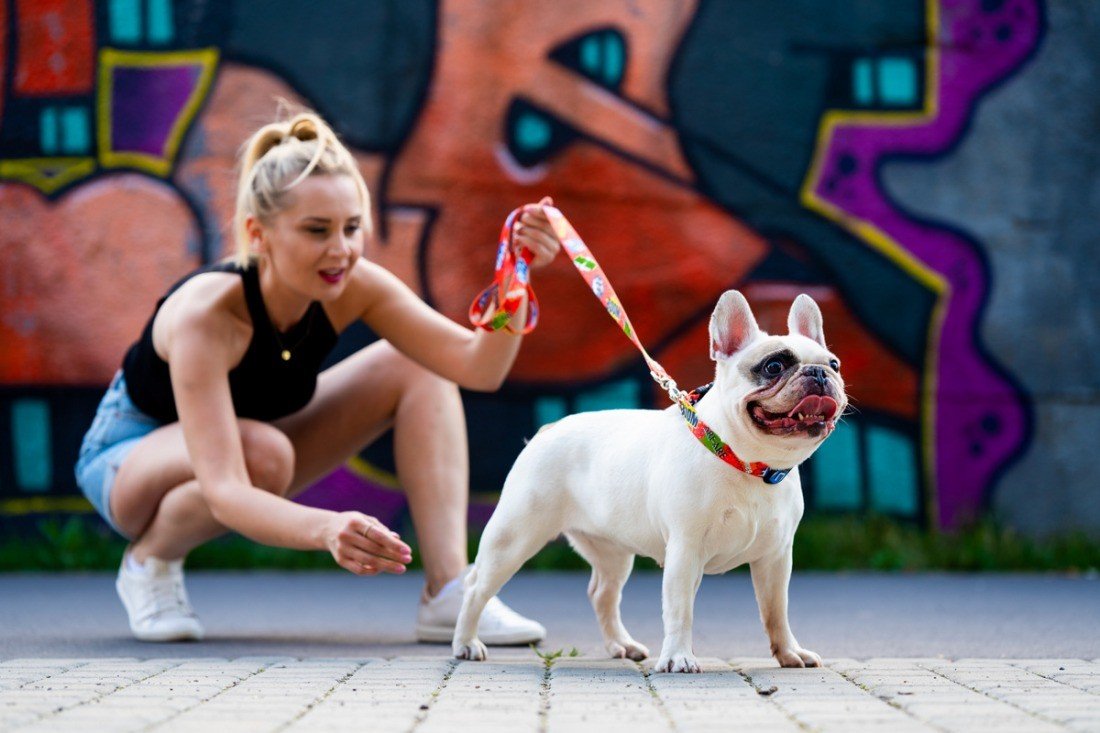 1. Woman with French bulldog wearing red graffiti collar and leash in front of urban graffiti wall
