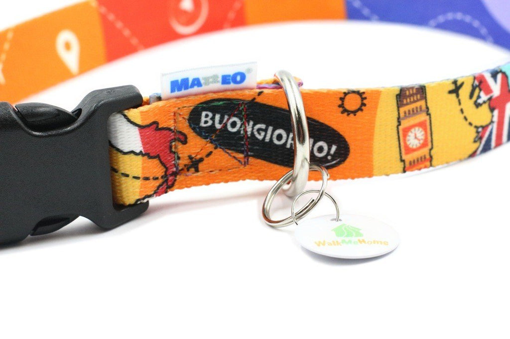 3. Close-up of travel-themed dog collar showing 'Buongiorno!' text and Big Ben design