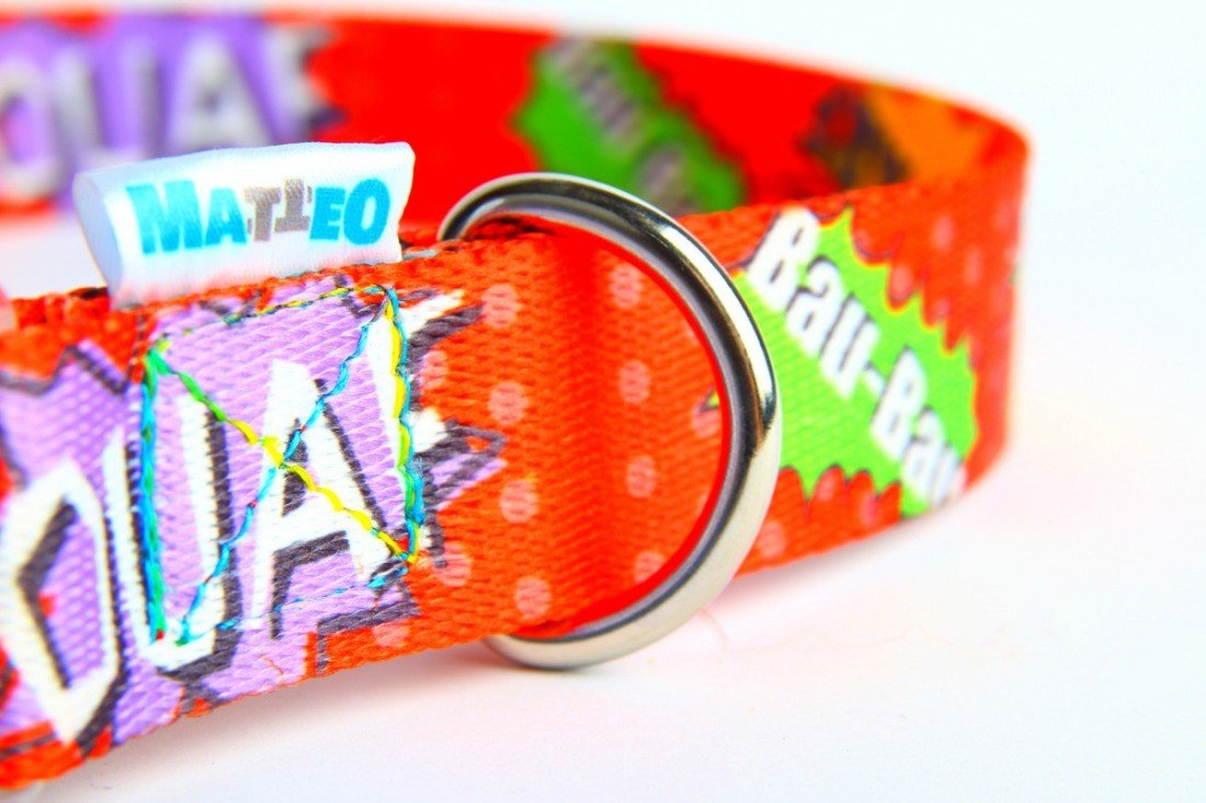 3. Close-up of red graffiti dog collar with stainless steel D-ring and Matteo logo