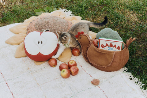 3. Apple-shaped pillow on a picnic blanket with a kitten and apples in a garden