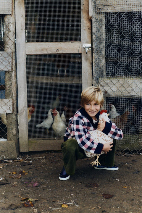 1. Child crouching and hugging beige chicken-shaped pillow in front of chicken coop