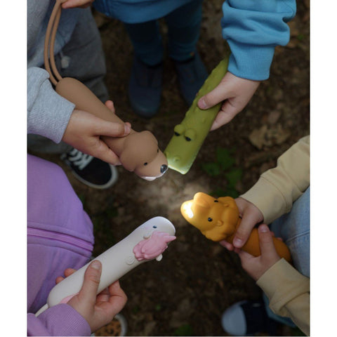 1. Group of children holding various animal-shaped flashlights, including a pink unicorn, in a forest setting