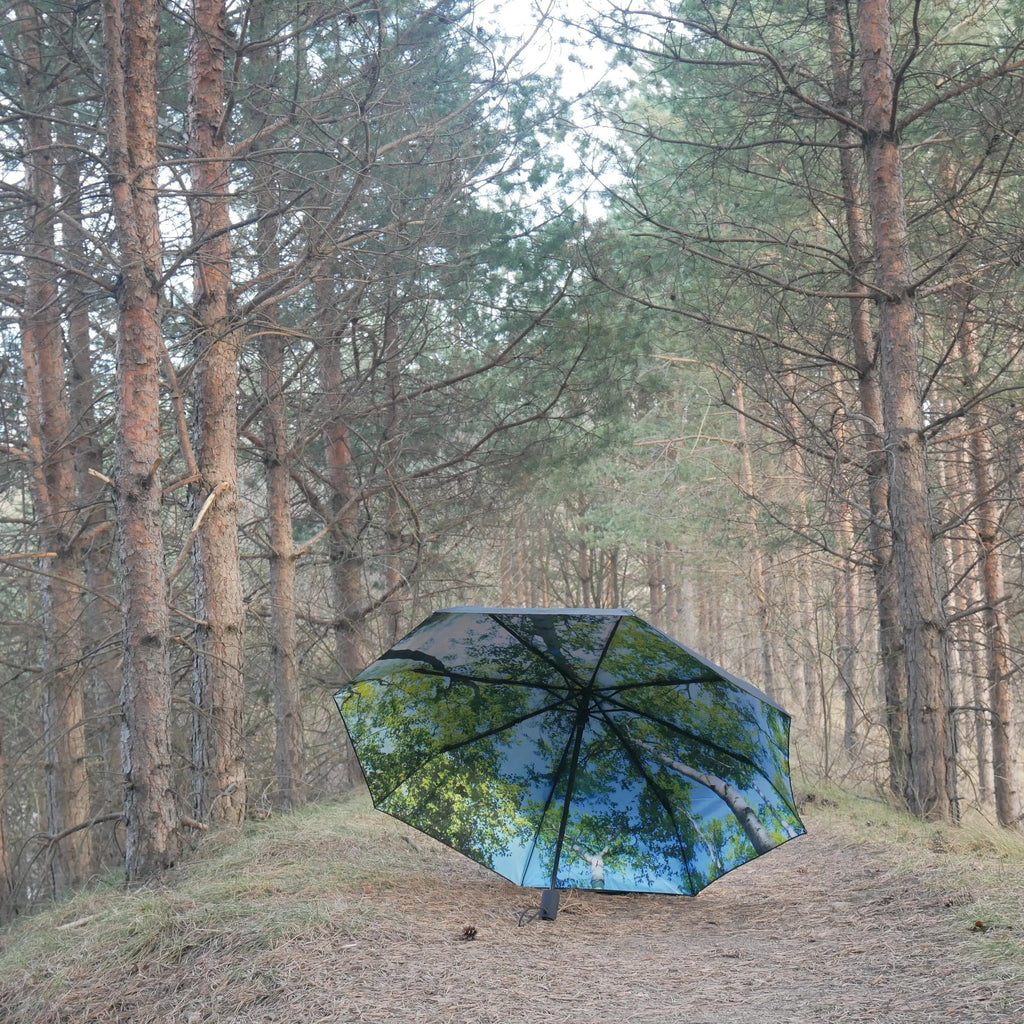 1. Forest print umbrella open on a forest path surrounded by tall trees