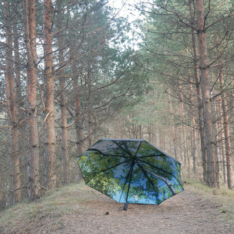 1. Forest print umbrella open on a forest path surrounded by tall trees