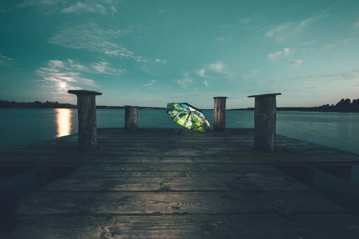1. Forest print umbrella open on wooden dock at dusk with water in background