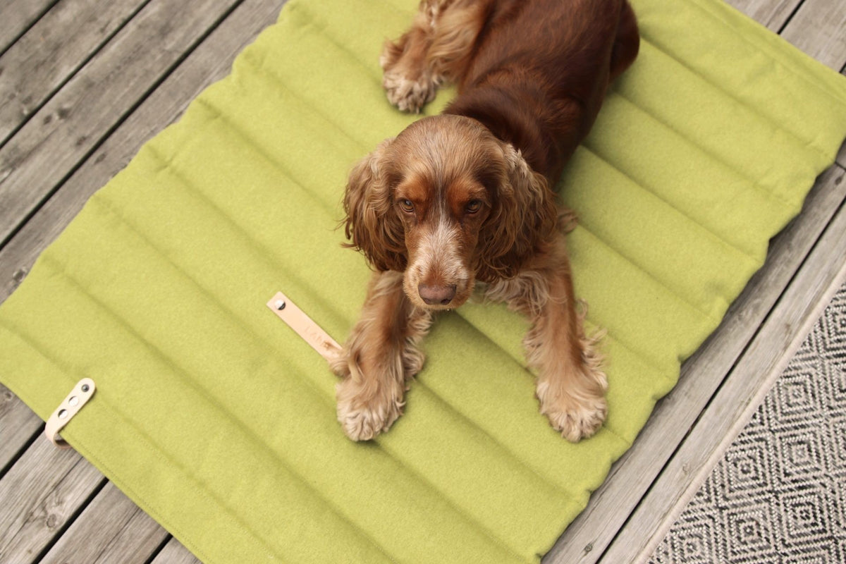 1. Brown dog lying on green quilted Fosser travel mat by Labbvenn on wooden deck