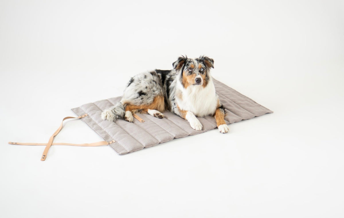 1. Dog lying on grey quilted Fosser travel mat with leather straps in a studio setting