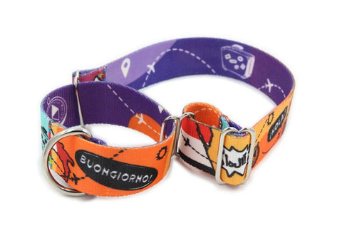 3. Close-up of orange and purple dog collar with travel motifs and nickel-plated rings, designed for large dogs