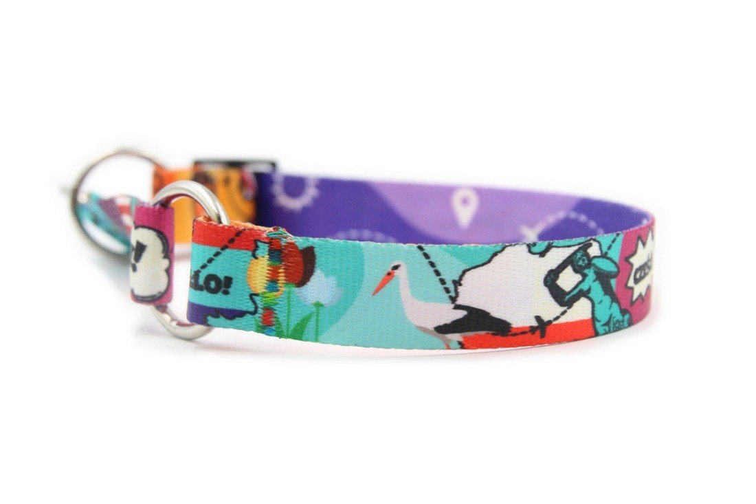 8. Close-up of colorful dog collar with travel-themed print and nickel-plated hardware, ideal for large breeds