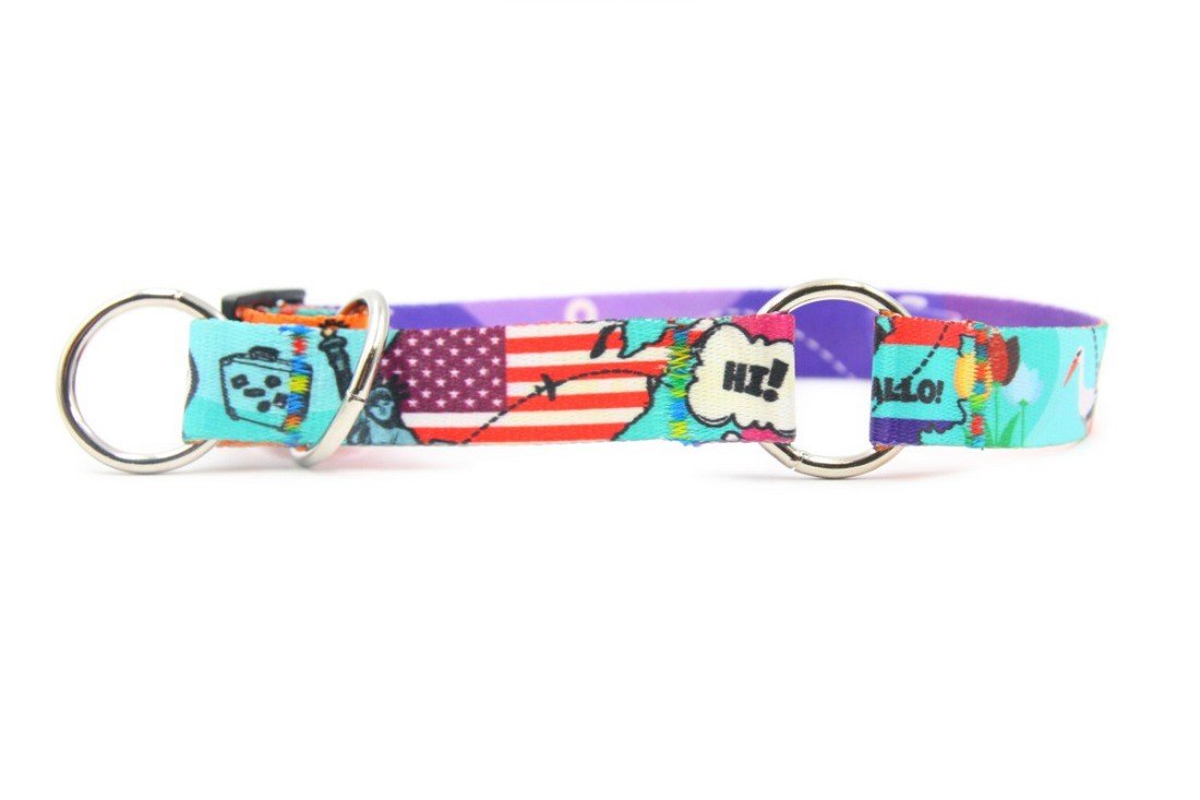 7. Colorful dog collar with travel motifs and nickel-plated rings, designed for large dogs