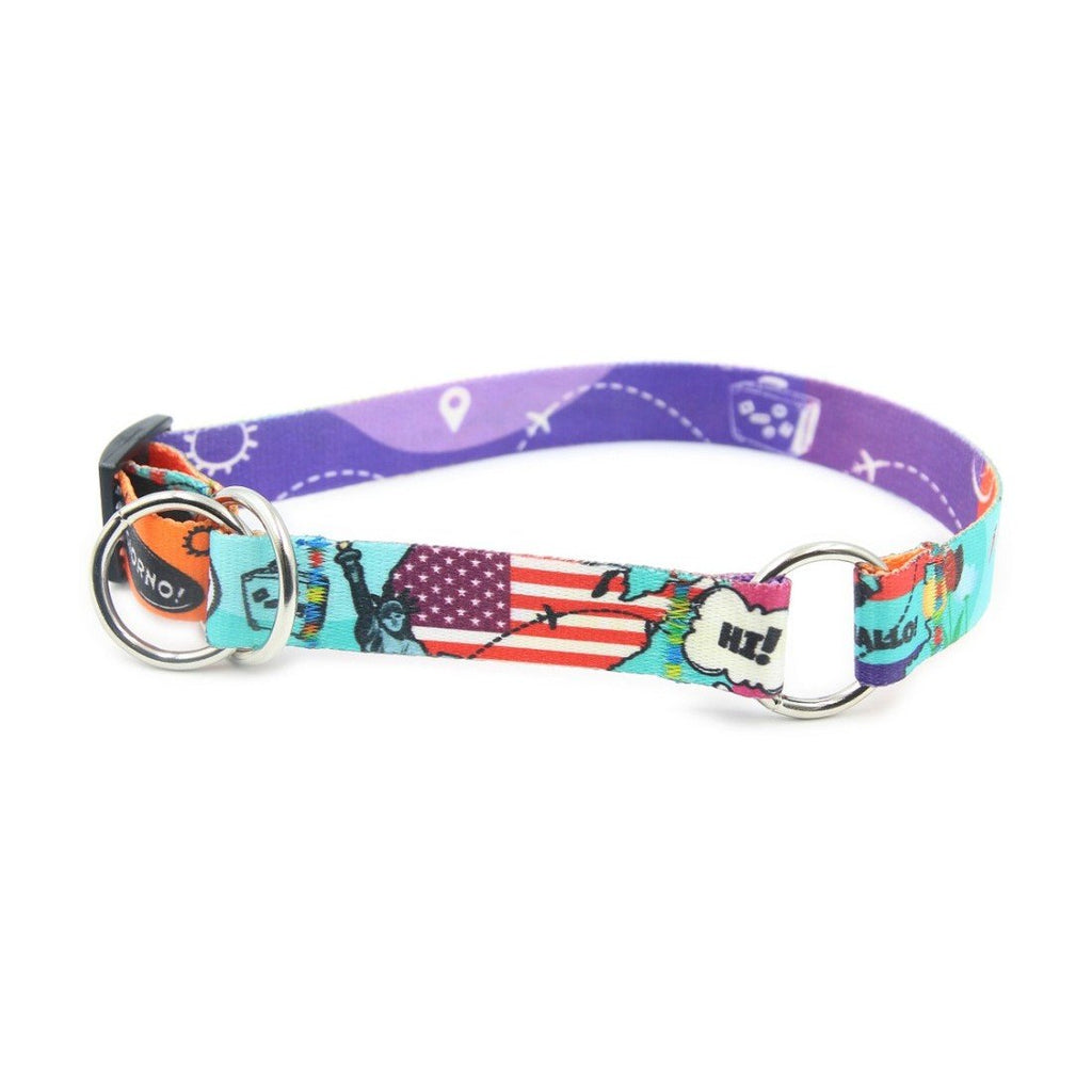 1. Colorful dog collar with travel-themed print featuring landmarks and speech bubbles, nickel-plated hardware, designed for large breeds