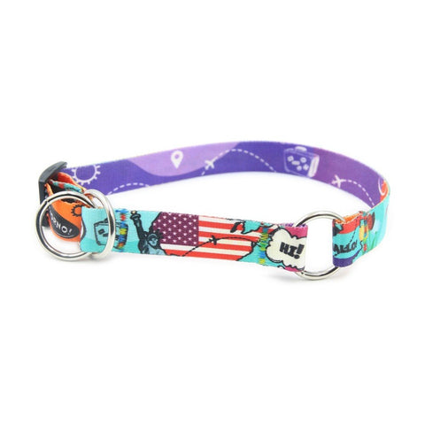 1. Colorful dog collar with travel-themed print featuring landmarks and speech bubbles, nickel-plated hardware, designed for large breeds