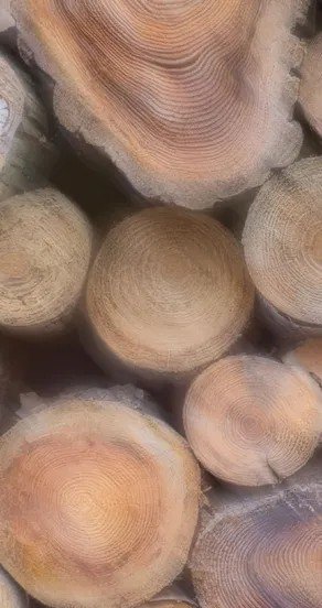 10. Close-up of stacked wooden logs