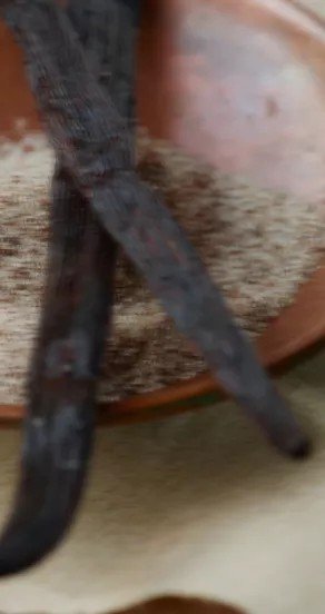 4. Close-up of vanilla beans on a plate with ground vanilla