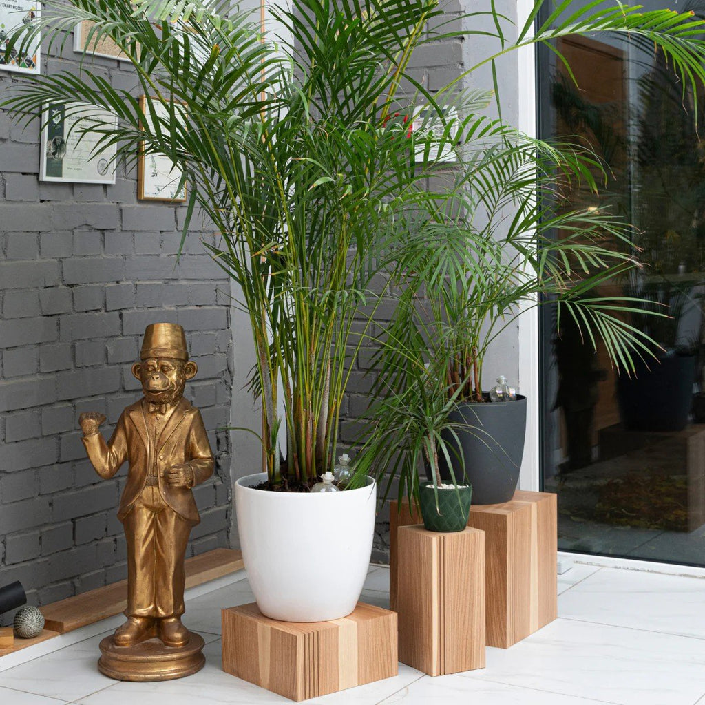 5. Indoor setting with three wooden plant stands holding potted plants next to a gold statue and brick wall