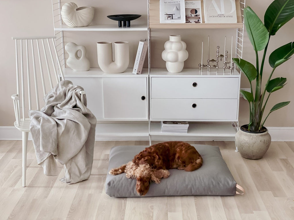 1. Brown dog resting on dark grey Kiima cushion with leather handle in modern living room setting