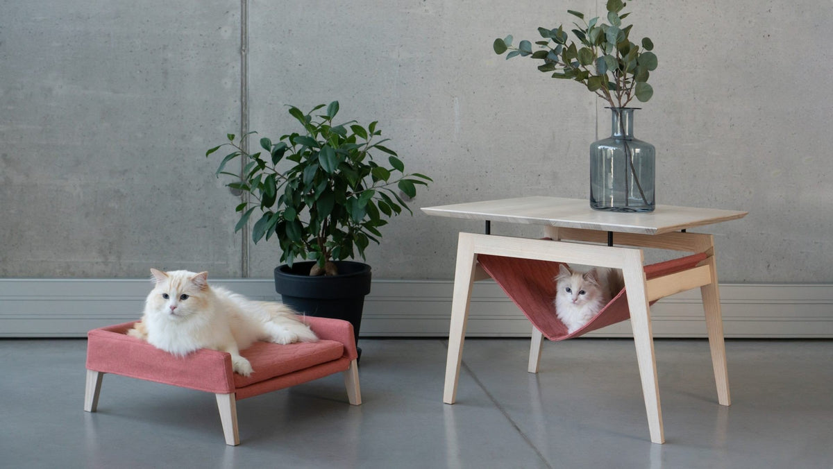 1. Two cats lounging on Labbvenn Kikko table and Lulu bed in raspberry, set in a modern living space with plants and concrete wall