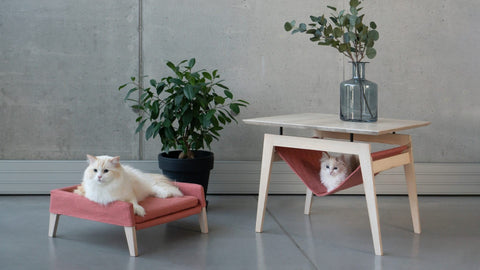 1. Two cats lounging on Labbvenn Kikko table and Lulu bed in raspberry, set in a modern living space with plants and concrete wall