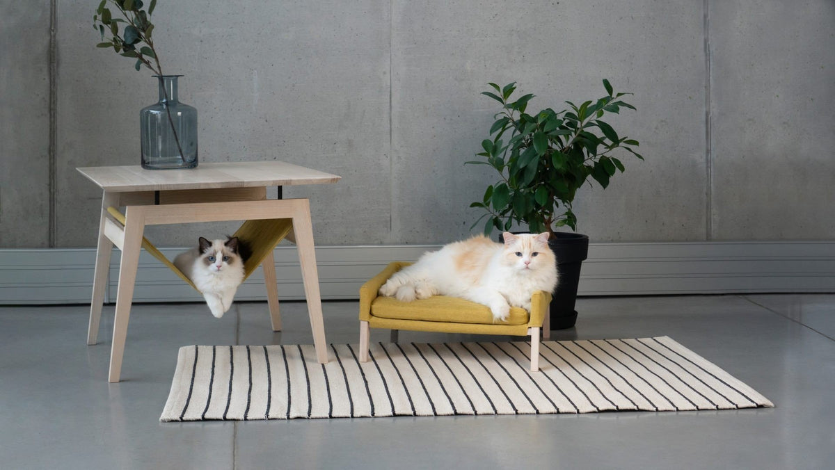 2. Cats lounging on Labbvenn Kikko table and Lulu bed in honey color, placed on a striped rug with a plant in a contemporary room