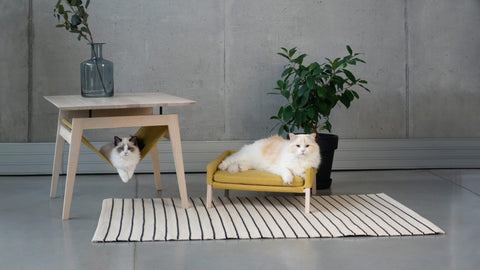2. Cats lounging on Labbvenn Kikko table and Lulu bed in honey color, placed on a striped rug with a plant in a contemporary room