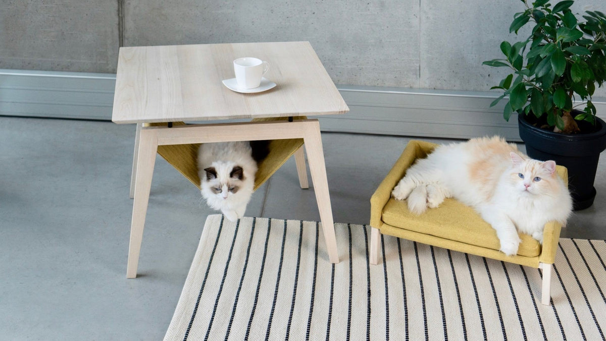 3. Overhead view of cats on Labbvenn Kikko table and Lulu bed in honey color, with a cup on the table, set on a striped rug
