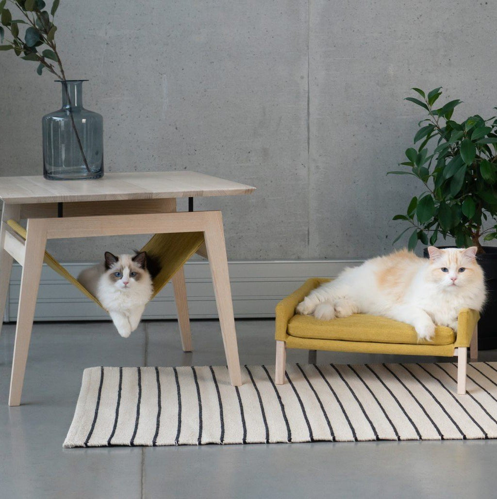 1. Two cats relaxing on Labbvenn Kikko table and Lulu bed in honey color, set in a modern living room with a striped rug and plants