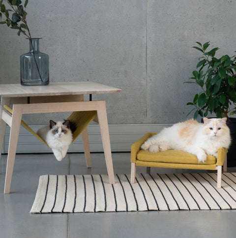 1. Two cats relaxing on Labbvenn Kikko table and Lulu bed in honey color, set in a modern living room with a striped rug and plants