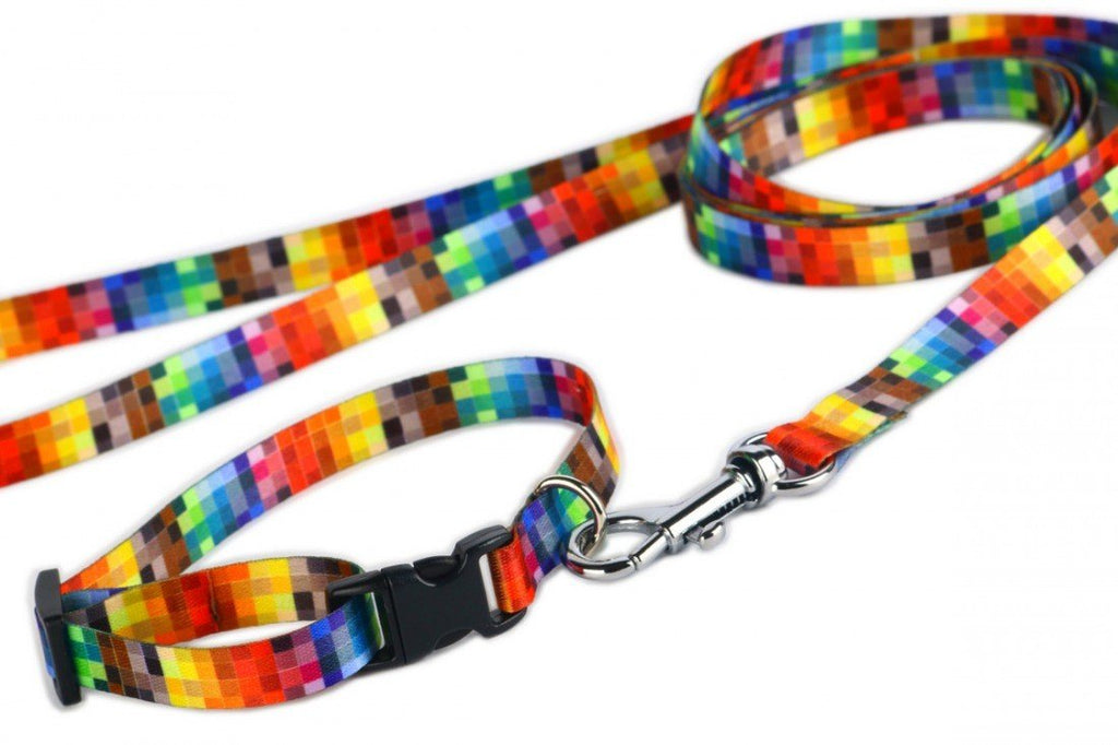3. Close-up of Matteo leash showing colorful pixel design and metal carabineer