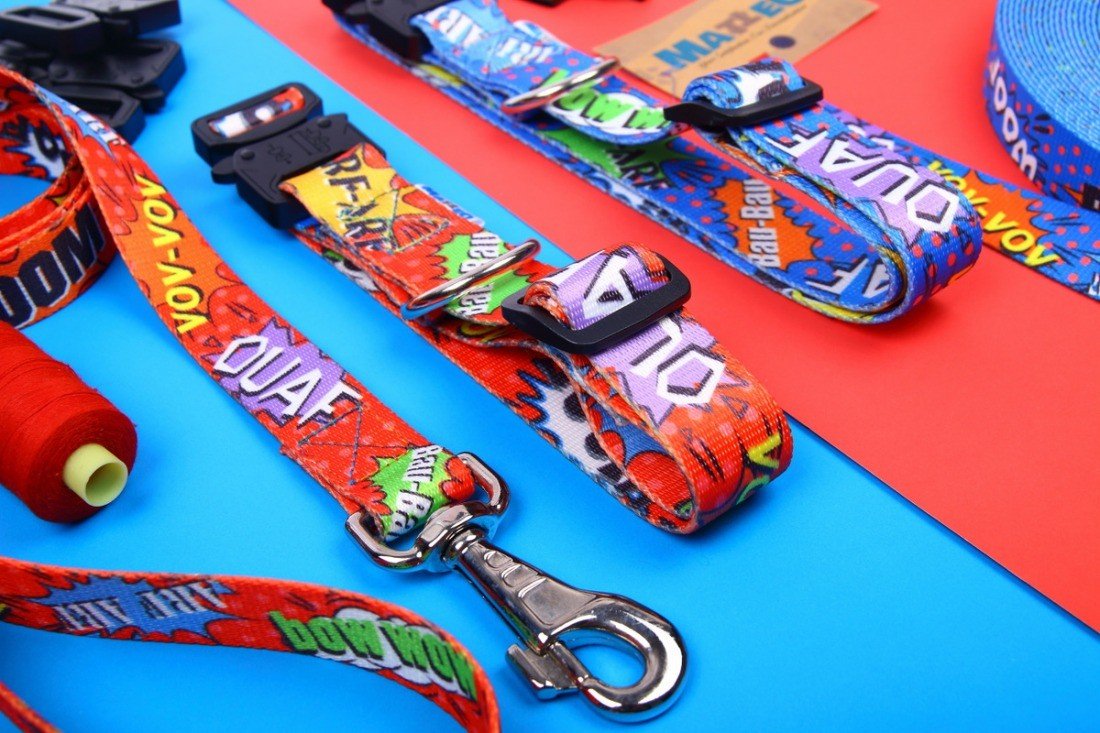 3. Close-up of red graffiti dog leash and collar with colorful text and metal carabiner on a blue and red background