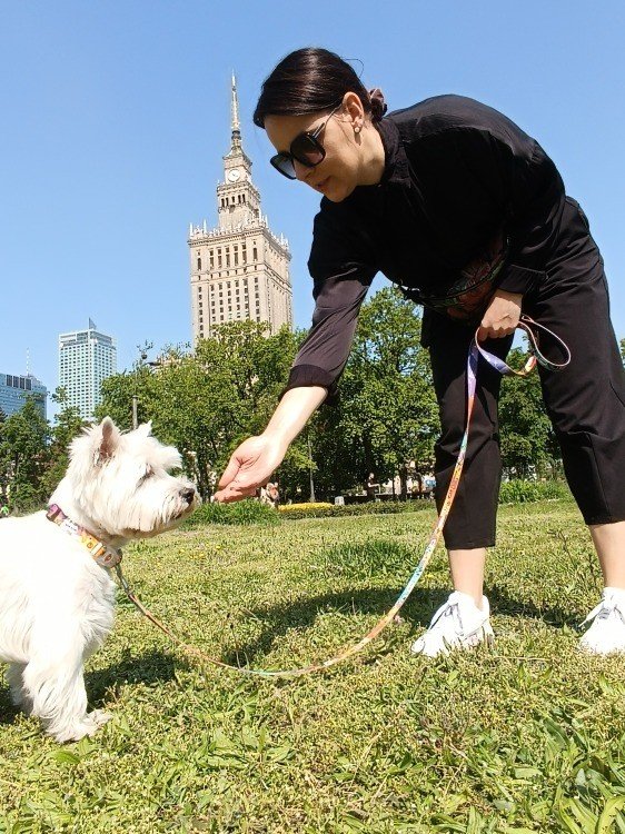 1. Woman in black outfit with small white dog on Matteo travel leash in park