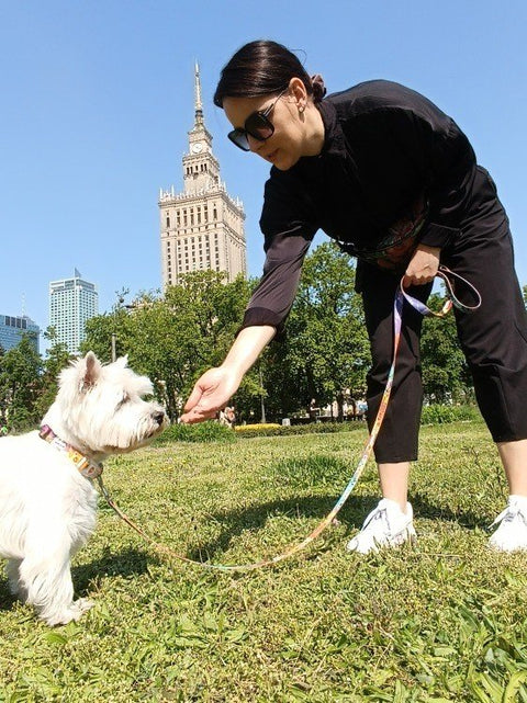 1. Woman in black outfit with small white dog on Matteo travel leash in park