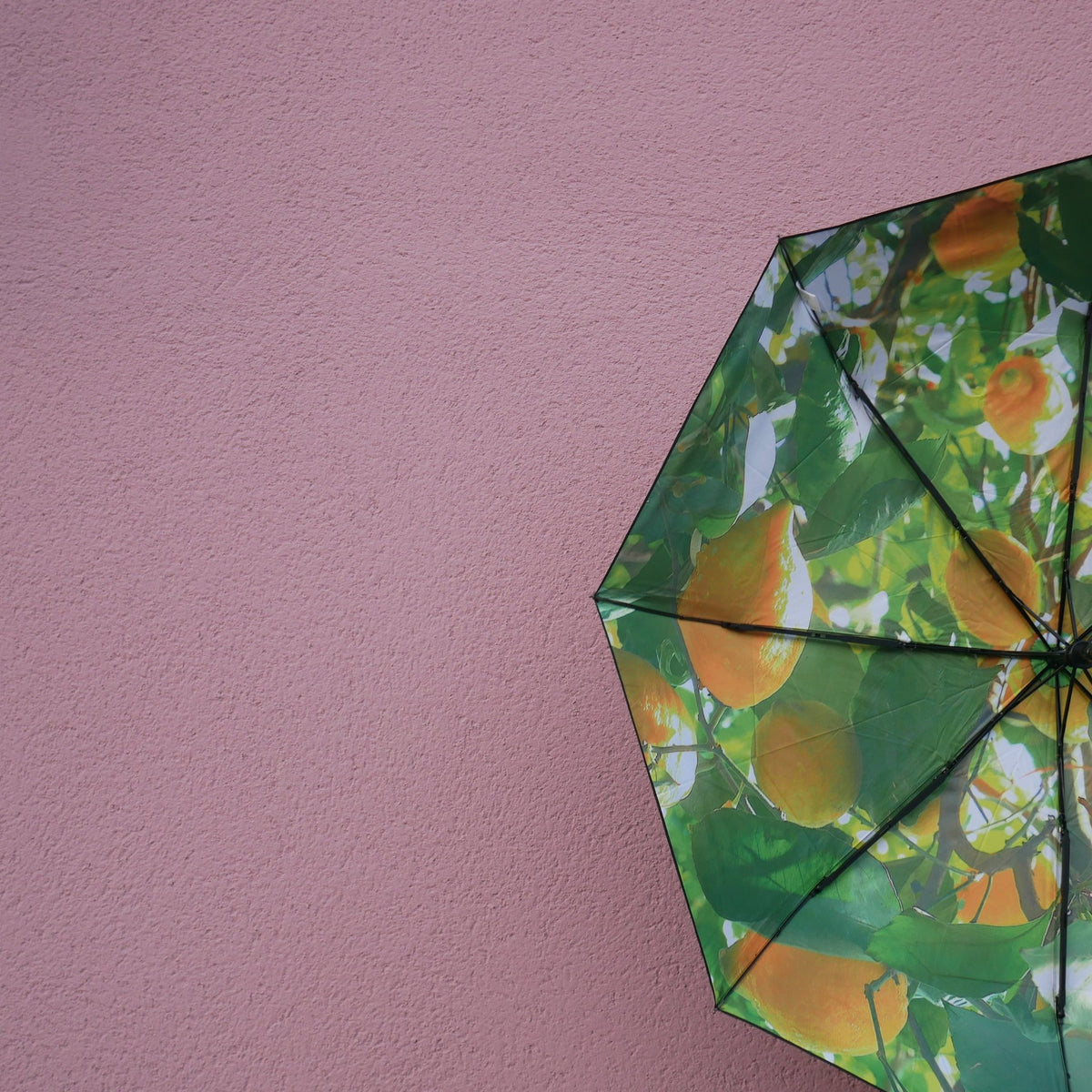 10. Lemon print umbrella open against pink wall, highlighting vibrant design