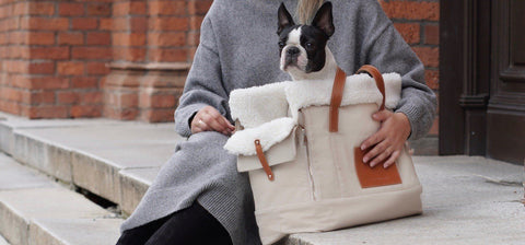 1. Woman sitting on steps with beige Liiva dog carrier, featuring a small dog peeking out, showcasing practicality and style