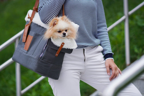 1. Woman carrying small dog in grey Liiva dog carrier with white wool lining, standing on outdoor stairs