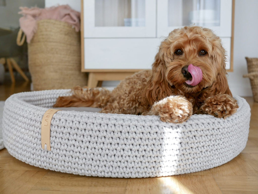 2. Dog licking lips while lying in light grey braided cotton dog bed with Labbvenn logo