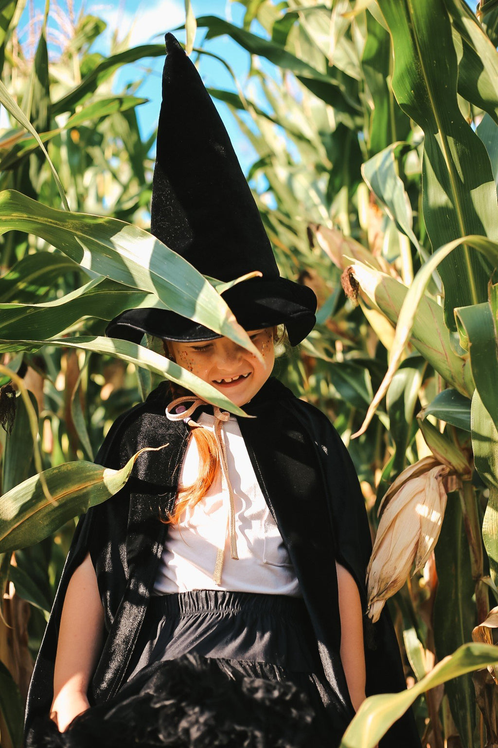 12. Child in black cape and witch hat peeking through corn stalks