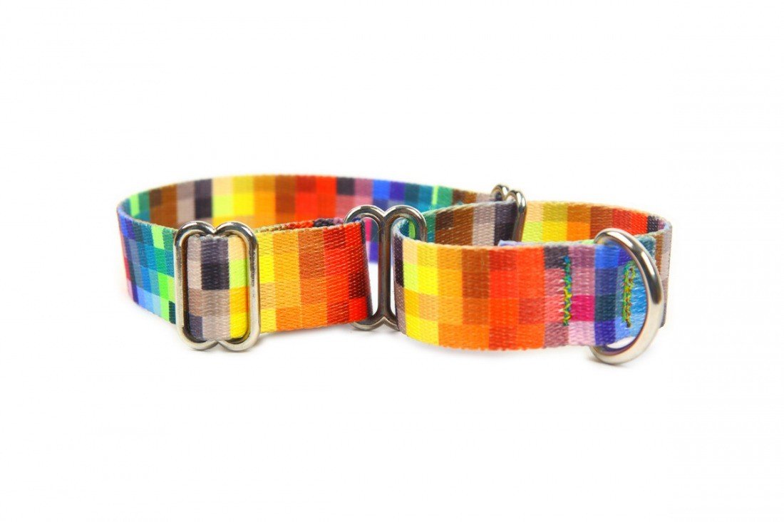 3. Close-up of colorful pixel-patterned martingale dog collar with metal rings and adjustable feature