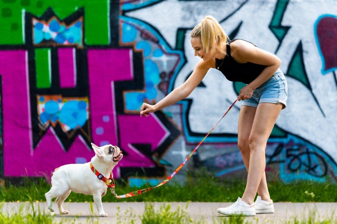 2. Woman walking a white dog with Matteo red graffiti martingale collar against a vibrant graffiti backdrop