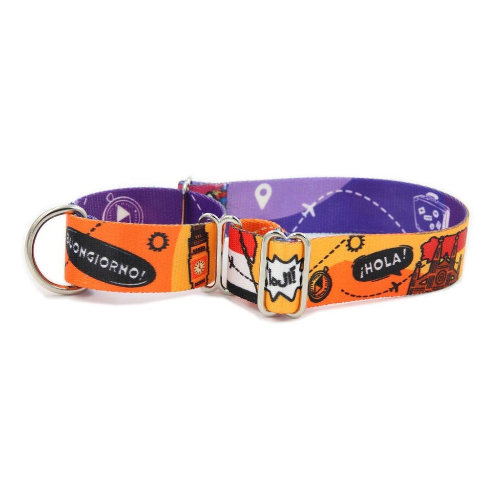 1. Colorful martingale dog collar with travel-themed print featuring words 'Buongiorno' and 'Hola' on orange and purple fabric