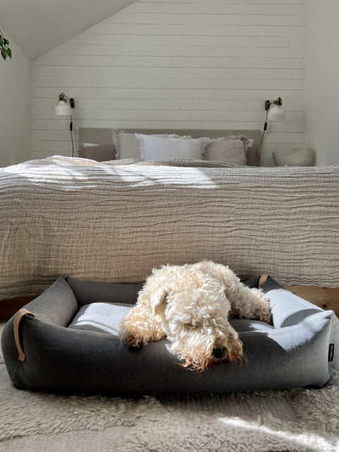 1. Fluffy dog resting on Moe dog bed in light anthracite in a cozy bedroom setting with neutral decor