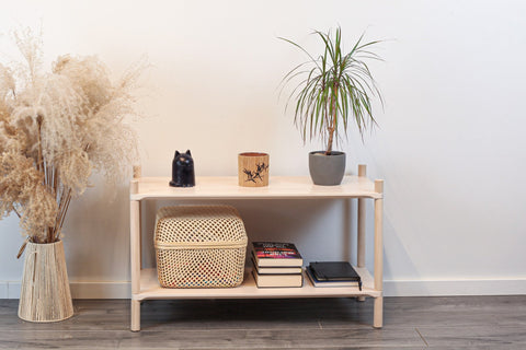 1. Montessori-inspired wooden shelving unit with two shelves, decorated with plants and books, in a modern living room setting