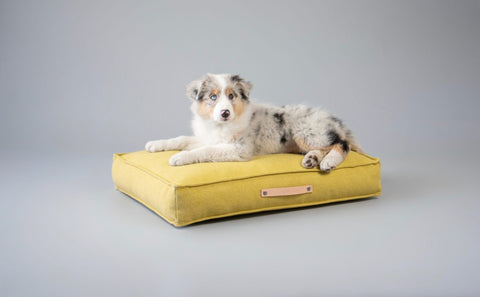 1. Dog lying on Labbvenn Møvik Cushion in honey color with leather belt detail, set against a neutral background