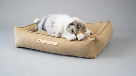 1. Puppy resting on Labbvenn Møvik dog bed in biscuit color with leather logo tag, set against a neutral background