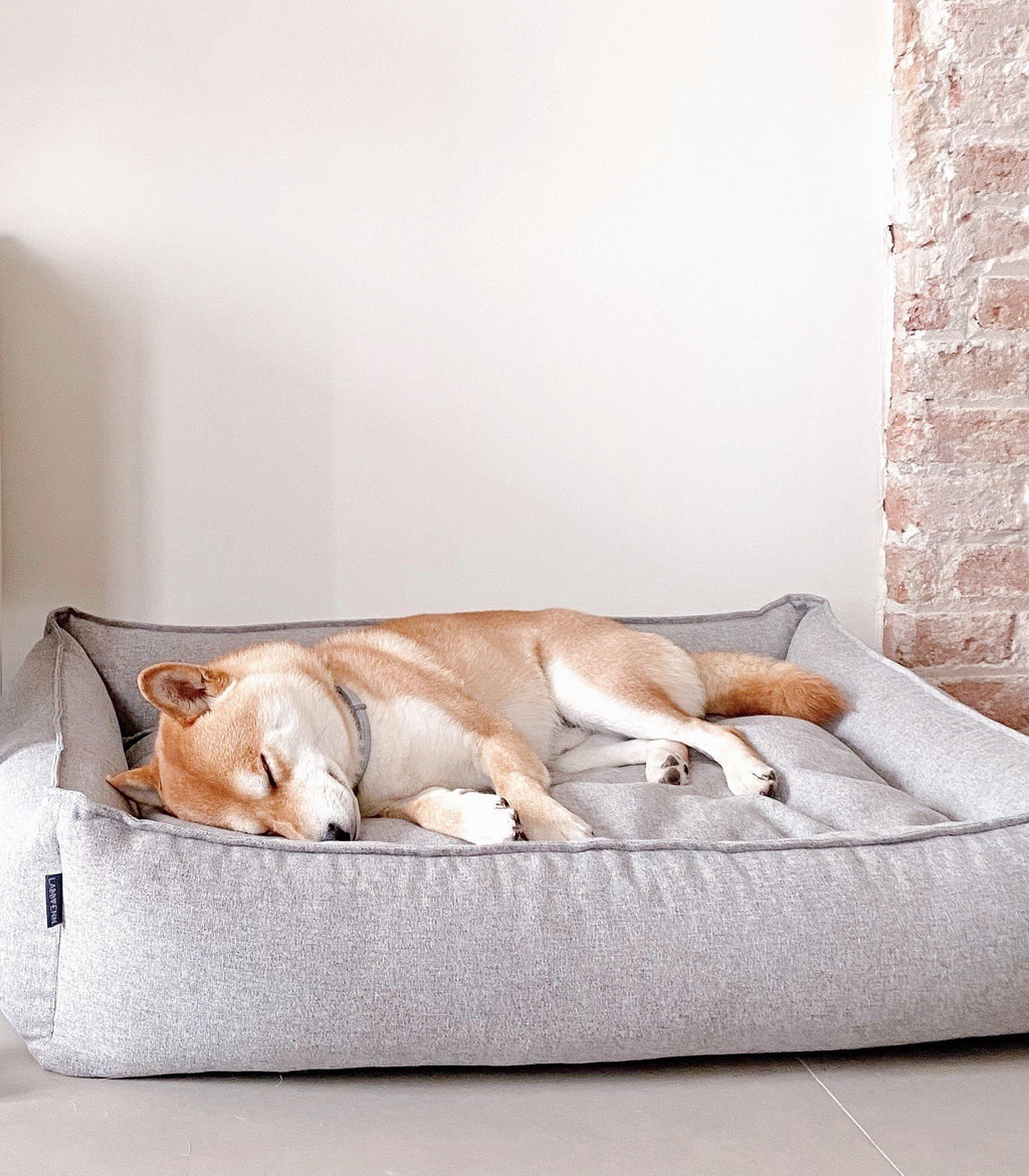 1. Dog sleeping on grey Møvik dog bed by Labbvenn against a brick wall background