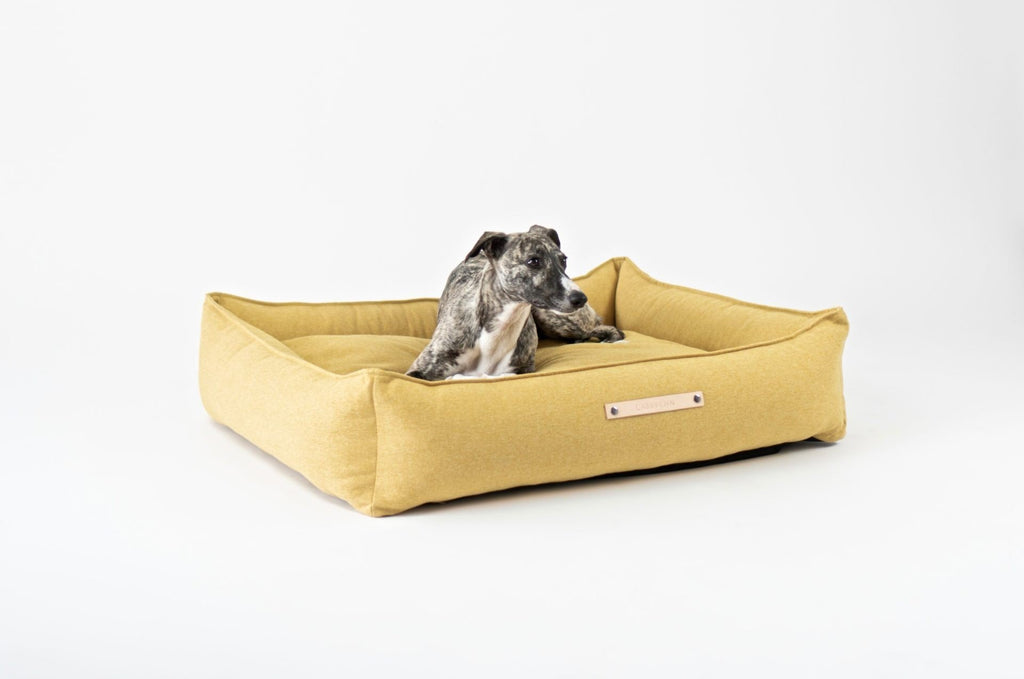 1. Brindle dog lying on Labbvenn Møvik honey-colored dog bed with leather label in studio setting