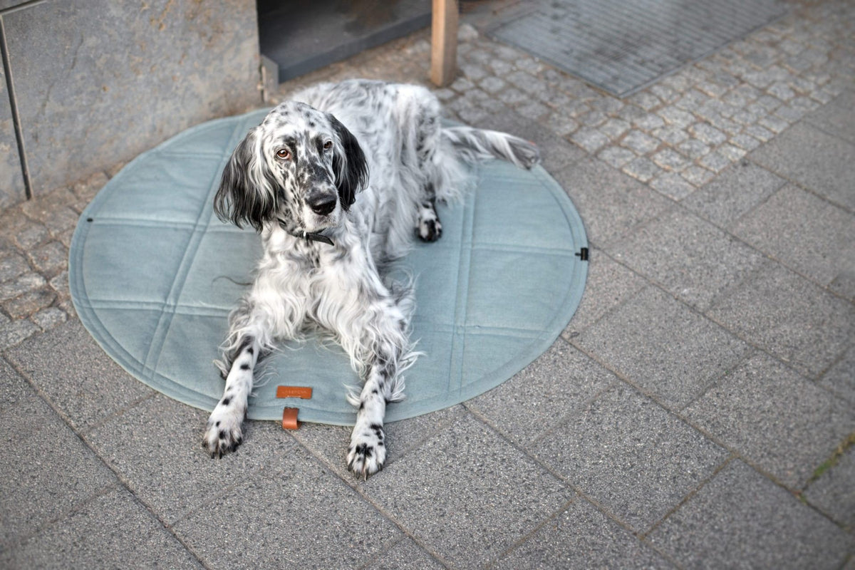1. Dog lying on Okka travel mat in soft teal on urban pavement